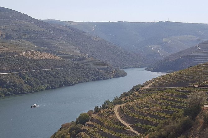 Douro Valley Tour: Wine Tasting River Cruise and Lunch from Porto - Porto to the Douro in one long, well-paced day
