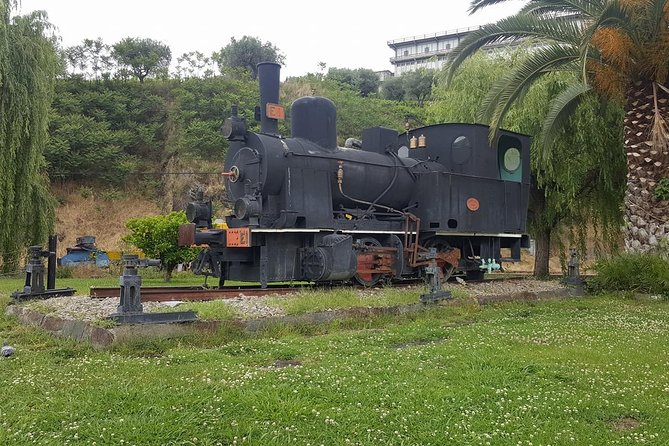 Douro Valley Tour: Wine Tasting River Cruise and Lunch from Porto - Fernão de Magalhães and Miguel Torga birthplace: a quick but distinct stop