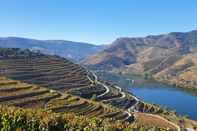 Douro Valley Tour: Wine Tasting River Cruise and Lunch from Porto - The Douro Valley drive: world-heritage scenery without the overwhelm