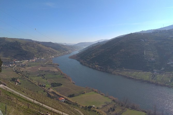 Douro Valley Tour: Wine Tasting River Cruise and Lunch from Porto - Pinhão’s Golden River stop: where terraces make sense