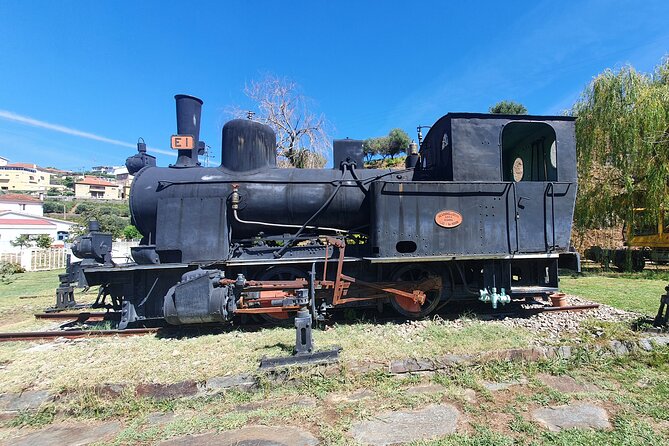 Douro Valley Tour with Train and Vinho Verde - Key highlights you will feel right away