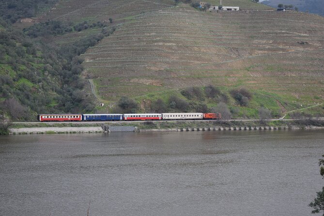 Douro Valley Tour with Train and Vinho Verde - Back in Porto: ending at the original meeting spot