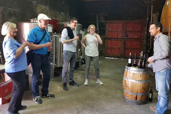 Douro Valley Wine Tour: 3 Vineyard Visits, Wine Tastings, Lunch - Stop 2: Folgosa, an estate tour and a Port-focused selection