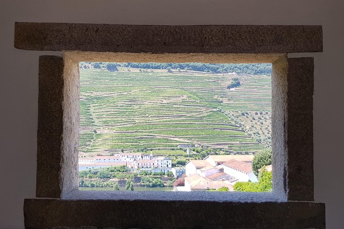 Douro Valley Wine Tour: 3 Vineyard Visits, Wine Tastings, Lunch - Stop 1: Lamego family vineyard, tastings with terraces in view