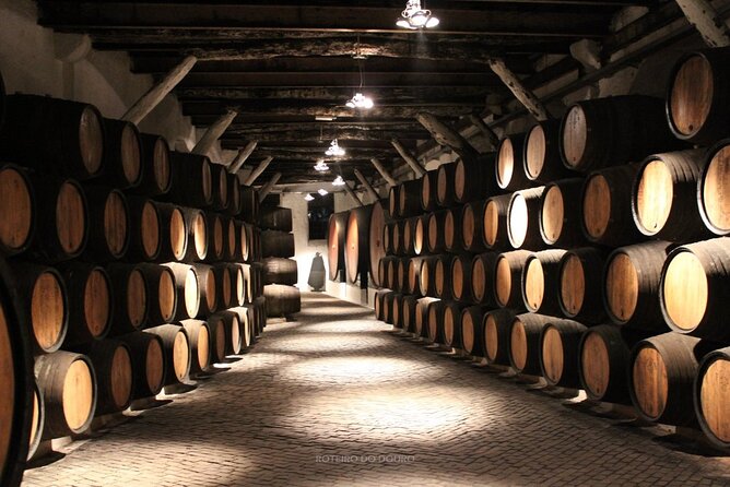 Douro Valley Wine Tour Private Group, 1h Cruise, Lunch from Porto - The Douro River Cruise (About 50 to 60 Minutes) Through UNESCO Country