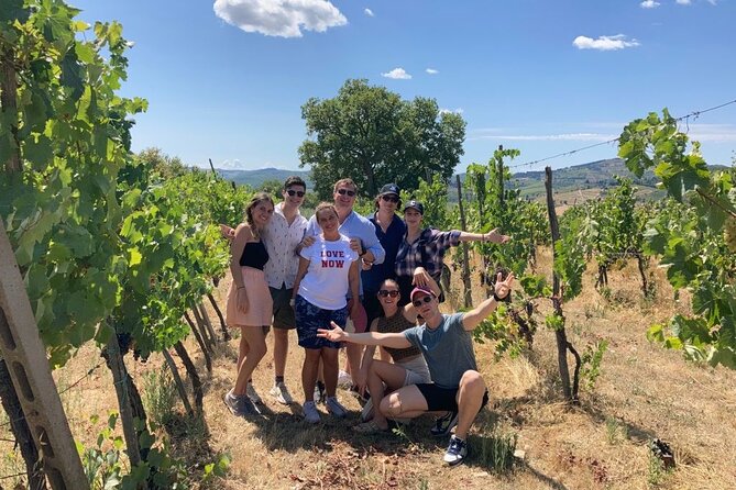 Douro Valley Wine Tour Private Group, 1h Cruise, Lunch from Porto - Peso da Regua Lunch and a Family Winery Visit You’ll Actually Remember