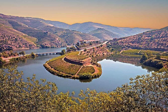 Douro Valley Wine Tour Private Group, 1h Cruise, Lunch from Porto - Returning to Porto: Drop-Off and How to Plan Your Evening