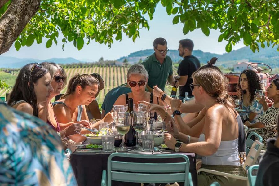 Douro Valley: Wine Tour with Lunch, Tastings & River Cruise - Returning to Porto: N222 Road Views on the Way Back