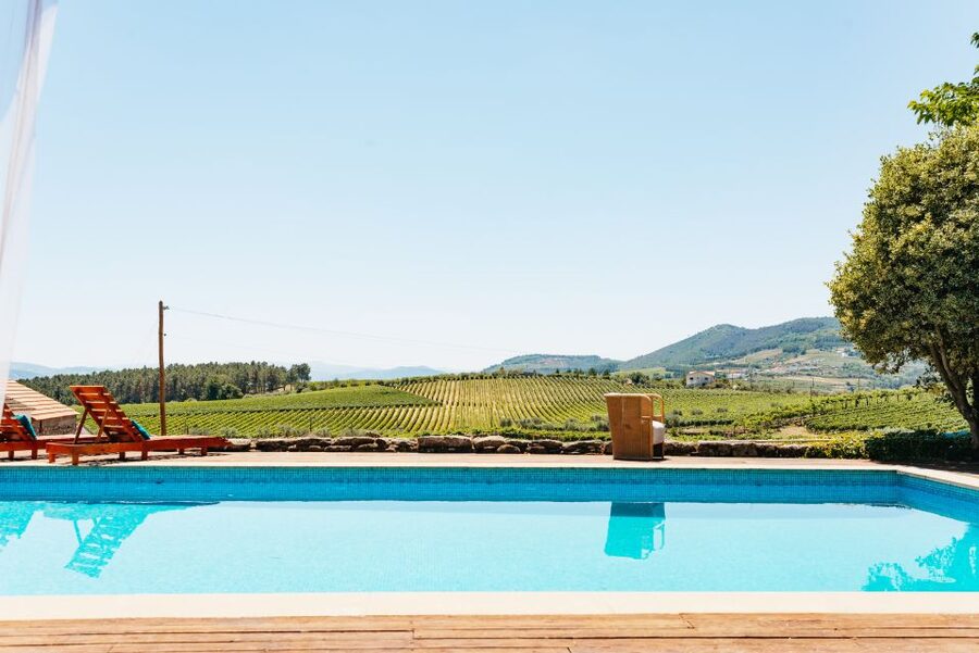 Douro Valley: Wine Tour with Lunch, Tastings & River Cruise - Sabrosa Family Estate: Where the Tasting Feels Personal