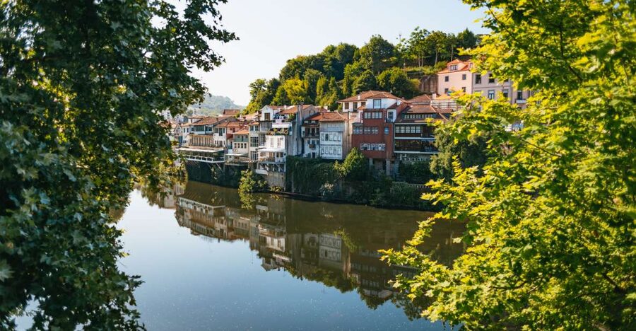 Douro Valley: Wine Tour with Lunch, Tastings & River Cruise - Afternoon Winery Visit: Big Quinta, Contrasting Style