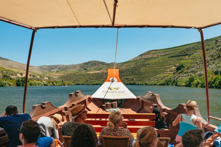 Douro Valley: Wine Tour with Lunch, Tastings & River Cruise - Transportation and Timing: It’s a Full-Day Machine