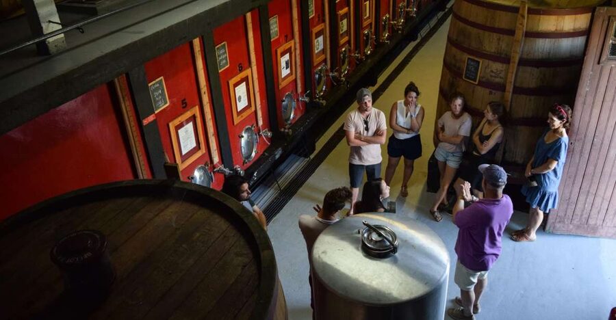 Douro Valley: Winery Tour at Quinta do Tedo and Tastings - Getting oriented at Quinta do Tedo: where you start and why it matters