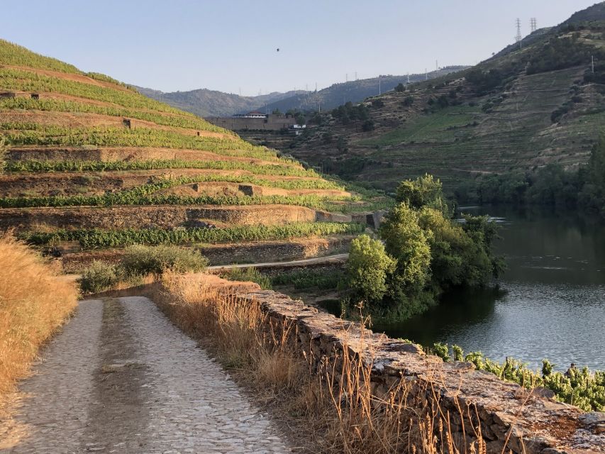 Douro Valley: Winery Tour at Quinta do Tedo and Tastings - Foot treading and 18th-century cellars: the production story without the fluff