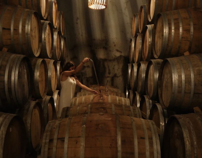 Douro Valley: Winery Tour at Quinta do Tedo and Tastings - The tasting: Porto and red wines with views from the tasting room