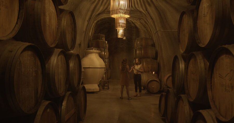 Douro Valley: Winery Tour at Quinta do Tedo and Tastings - The quick shopping window: what you can reasonably expect to do