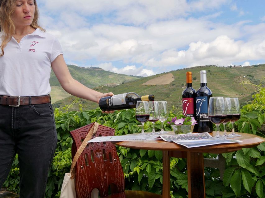 Douro Valley: Winery Tour at Quinta do Tedo and Tastings - Languages, guides, and how to get the most out of your hour