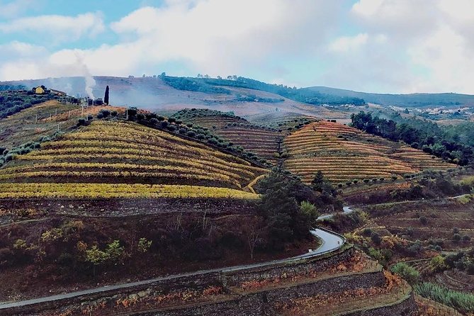 Douro Valley with Two Winery, Boat Trip and Lunch From Porto - Key points to know before you go