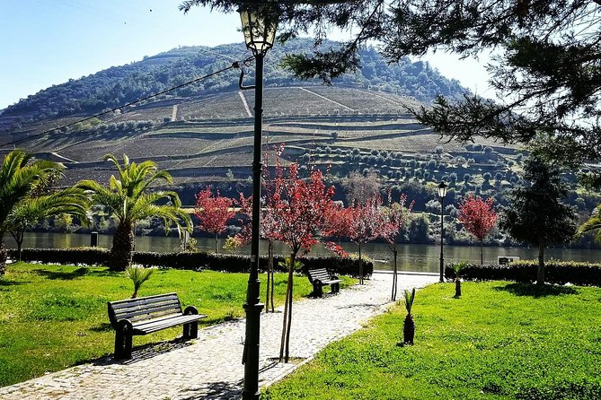 Douro Valley with Two Winery, Boat Trip and Lunch From Porto - Quinta do Seixo by Sandeman: a winery visit with port context