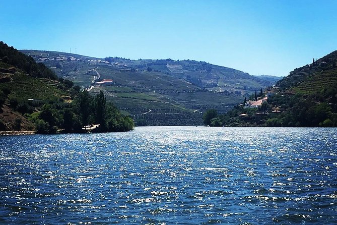 Douro Valley with Two Winery, Boat Trip and Lunch From Porto - Tabuaco lunch: where the day turns from driving to eating
