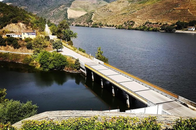 Douro Valley with Two Winery, Boat Trip and Lunch From Porto - Pinhão river cruise: the Douro from the waterline