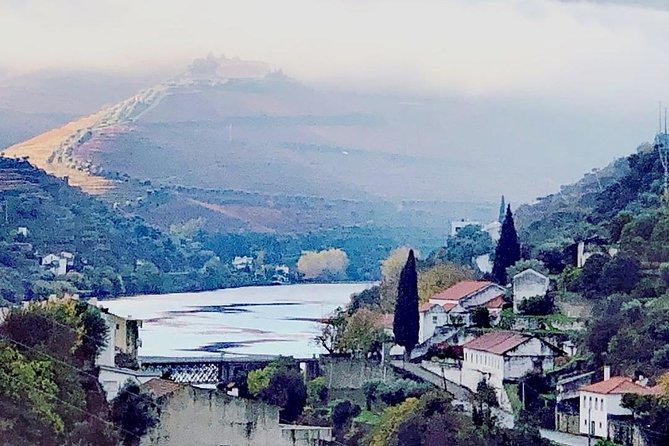 Douro Valley with Two Winery, Boat Trip and Lunch From Porto - DOrigem winery tasting: a second stop to round out your flavors