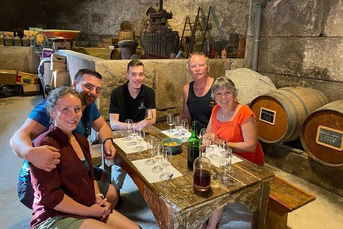 Douro & Vinho Verde: Family Wineries Private Tour in Portugal - Baiao and Vinho Verde, tasting four wines with a regional mindset