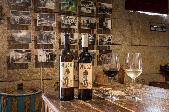 Douro & Vinho Verde: Family Wineries Private Tour in Portugal - Who should book this Douro and Vinho Verde private tour