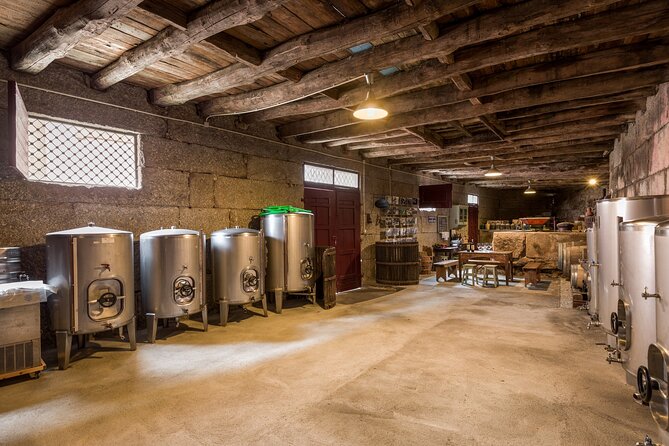 Douro Wine Tasting at a Family Winery in Portugal - Pace, group size, and the kind of day this works best for