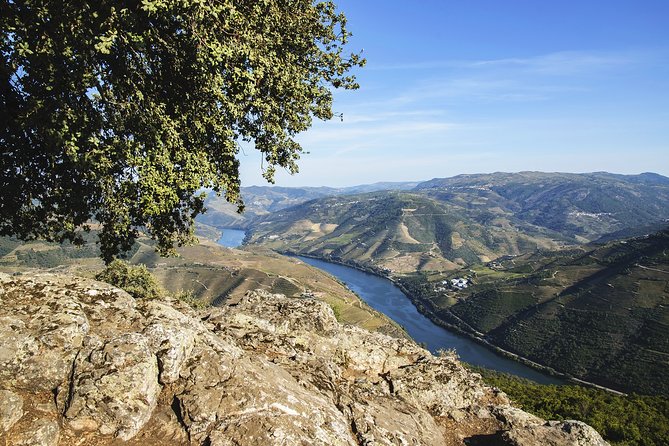 Driver with Private Vehicle in the Douro Valley - Why a private Douro Valley driver feels different