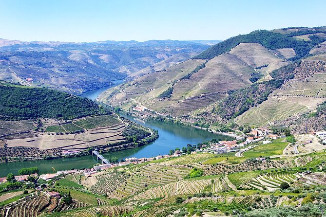 Driver with Private Vehicle in the Douro Valley - Price and logistics, what $476.57 buys your group