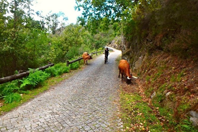 E-Bike Tour - Getting on an e-bike in Peneda Geres without burning out