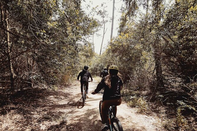 E-Bike Wild Experience with Transport from Porto and Braga - The guide matters more than you think (especially for sand riding)