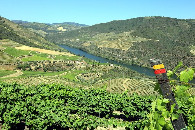 Ervedosa do Douro Walking Tour - What you get, in plain terms