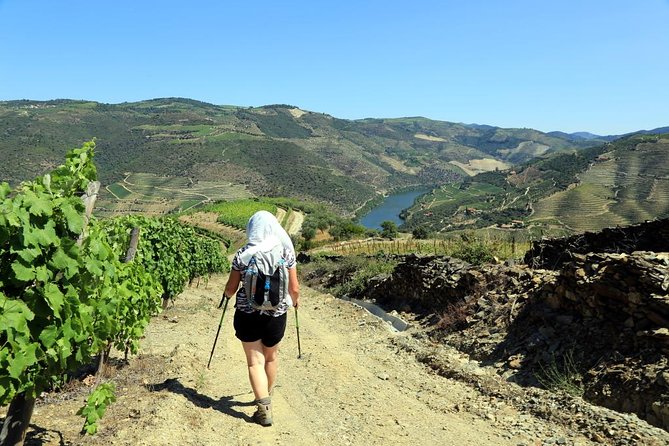 Ervedosa do Douro Walking Tour - Key highlights you should care about