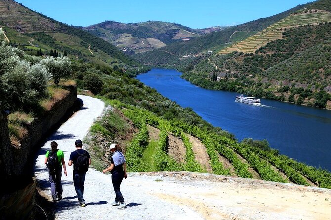 Ervedosa do Douro Walking Tour - The 9.2 km walk: terraces, views, and how to pace yourself