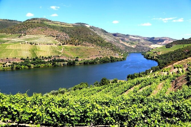 Ervedosa do Douro Walking Tour - Where to start, where you end, and how to handle transfers smartly