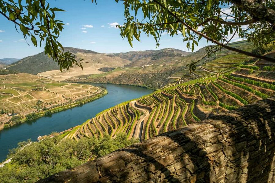 Exclusive Douro Valley: 3 Wineries, 9 Wine Tastings & Lunch - Key things that make this Douro tour worth your time
