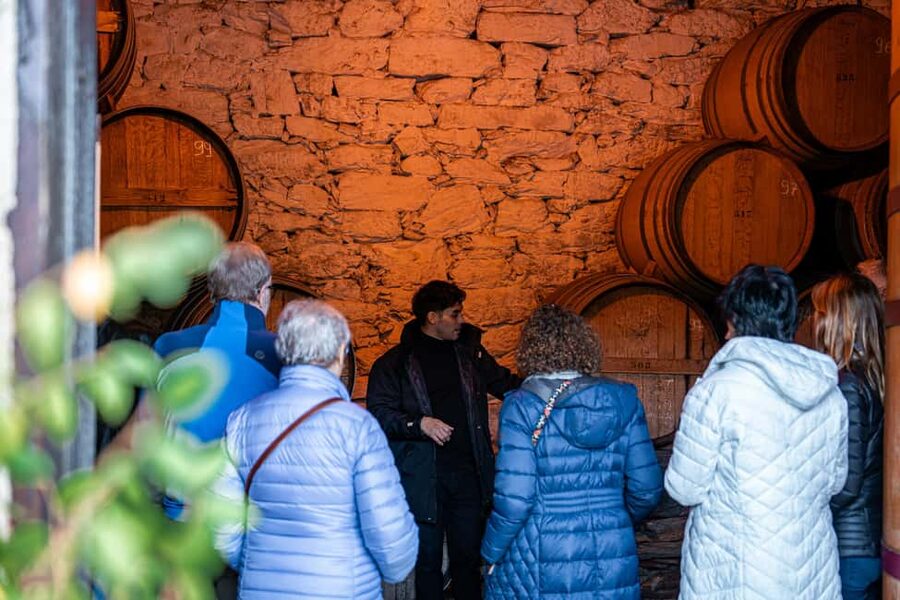 Exclusive Douro Valley: 3 Wineries, 9 Wine Tastings & Lunch - What to pack for Douro Valley heat and winter chill