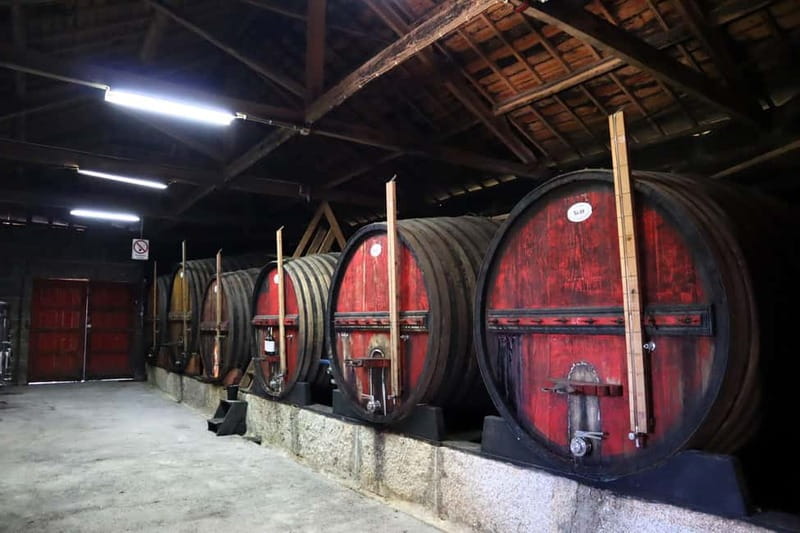 Exclusive Douro Valley: 3 Wineries, 9 Wine Tastings & Lunch - How a Porto-to-Douro small group day stays personal