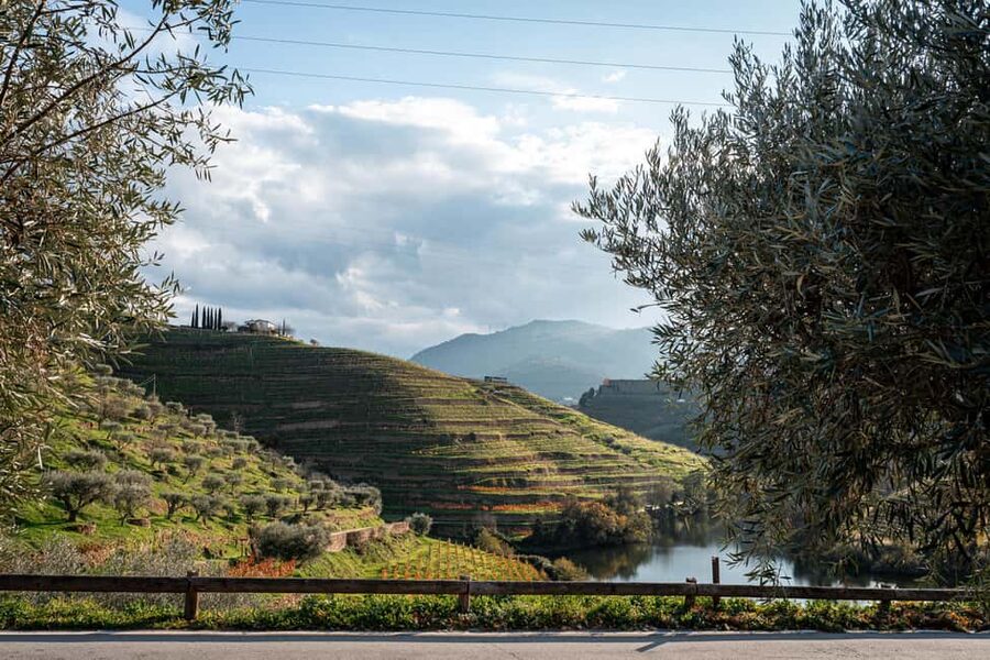 Exclusive Douro Valley: 3 Wineries, 9 Wine Tastings & Lunch - Lunch in the Douro Valley: Portuguese comfort food and DOC Douro with your group