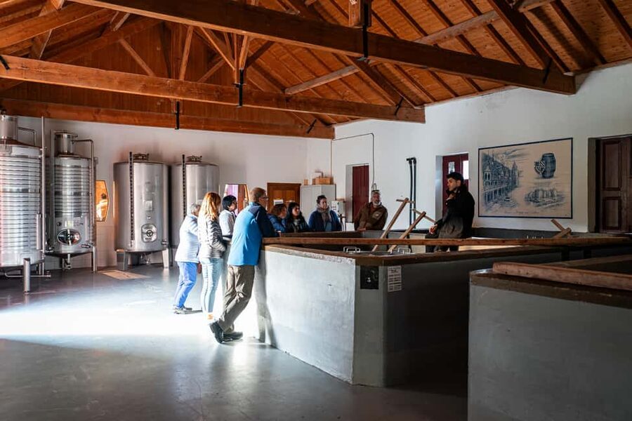 Exclusive Douro Valley: 3 Wineries, 9 Wine Tastings & Lunch - Stop 2: the second winery with valley views and a 4-wine tasting