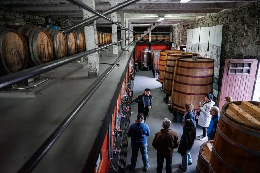 Exclusive Douro Valley: 3 Wineries, 9 Wine Tastings & Lunch - Stop 3 in Pinhão: Vintage Port with riverside valley views