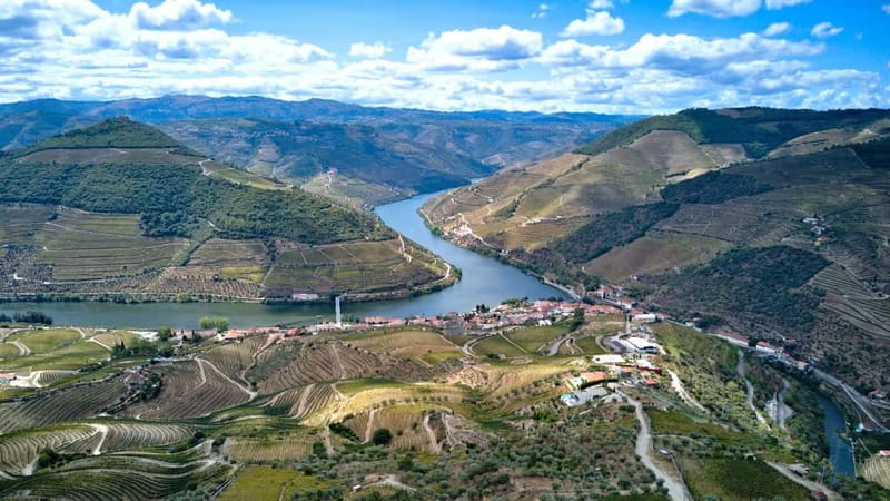 Exclusive Douro Valley: 3 Wineries, 9 Wine Tastings & Lunch - What the tour includes, and what is worth budgeting for