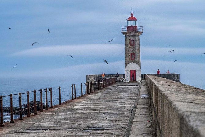 Experience Porto by Bike: 3-Hour Private Tour - Riverside stations: Cantareira, Passeio Alegre, and the calm before the coast