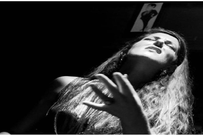 Fado Dinner Show and Night Lights Tour in Porto - Who should book this Fado dinner and night lights tour