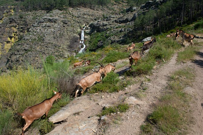 Fisgas de Ermelo Trail - Alvão Natural Park in real life, not just on postcards