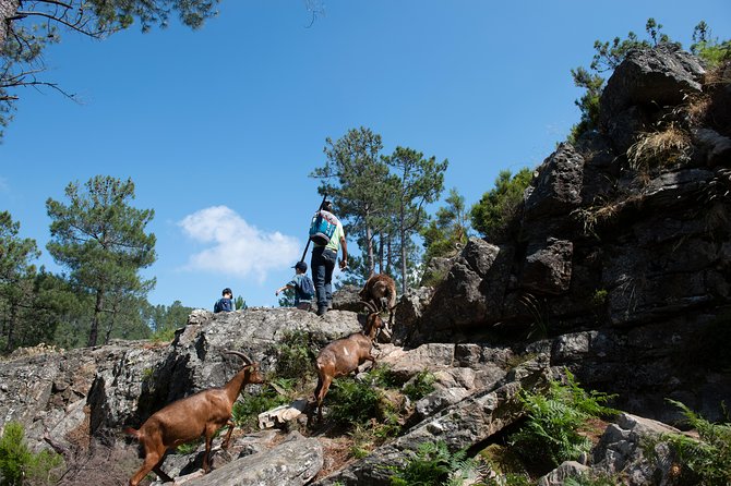 Fisgas de Ermelo Trail - What the guide actually does with you