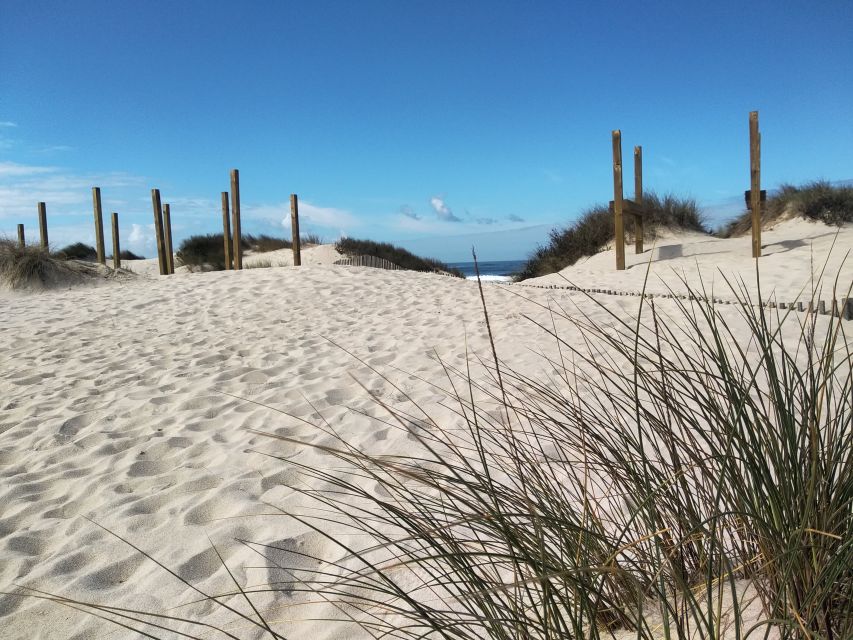 From Aveiro: Barra Beach Lighthouse & Costa Nova Guided Tour - Praia Velha break: white sand, sea air, and a reset moment