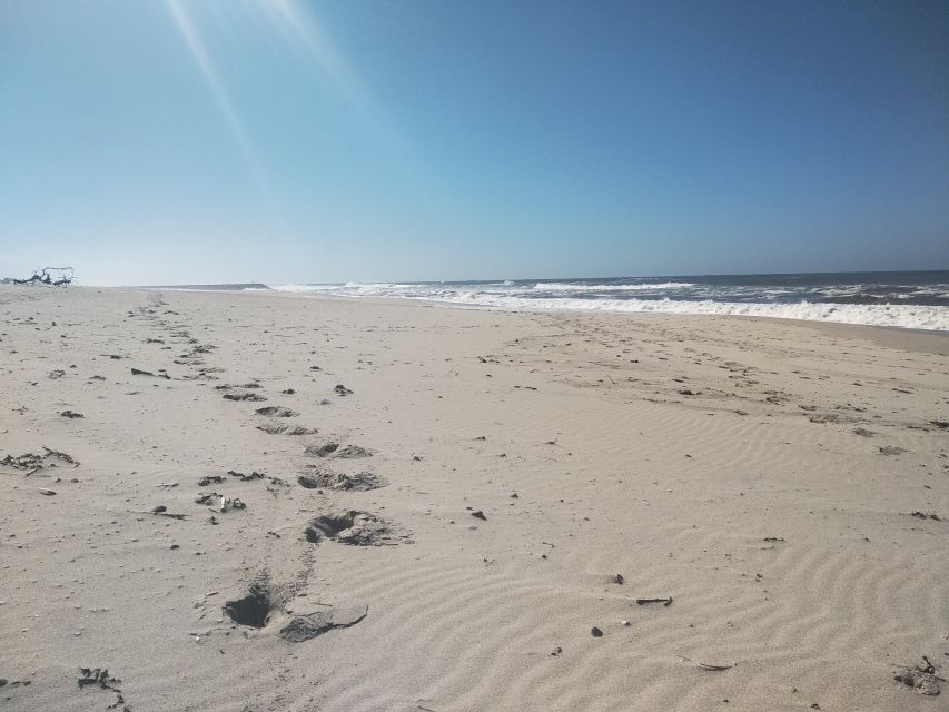 From Aveiro: Barra Beach Lighthouse & Costa Nova Guided Tour - A taste break for tripa: snack time with local flavor