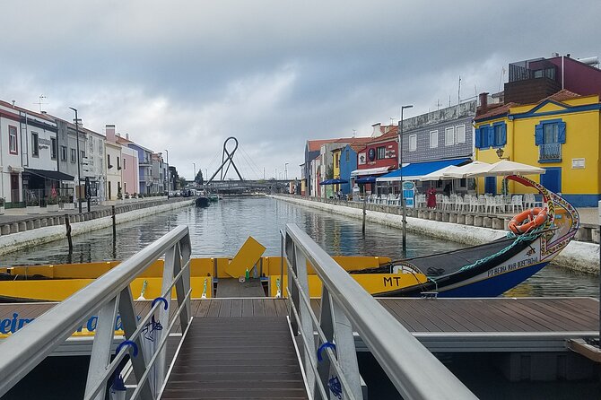 From Aveiro: Costa Nova, Barra, Vista Alegre - Half-Day Trip - A half-day that links lagoon birds to porcelain craft